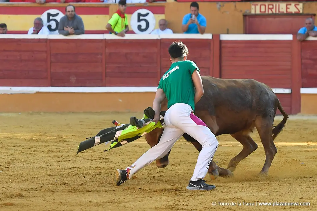 Suelta de vaquillas en Tudela d&iacute;a 29 2025 29