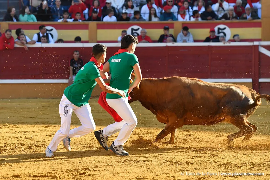 Suelta de vaquillas en Tudela d&iacute;a 29 2025 30