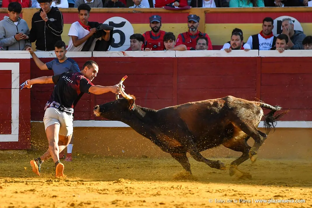 Suelta de vaquillas en Tudela d&iacute;a 29 2025 34