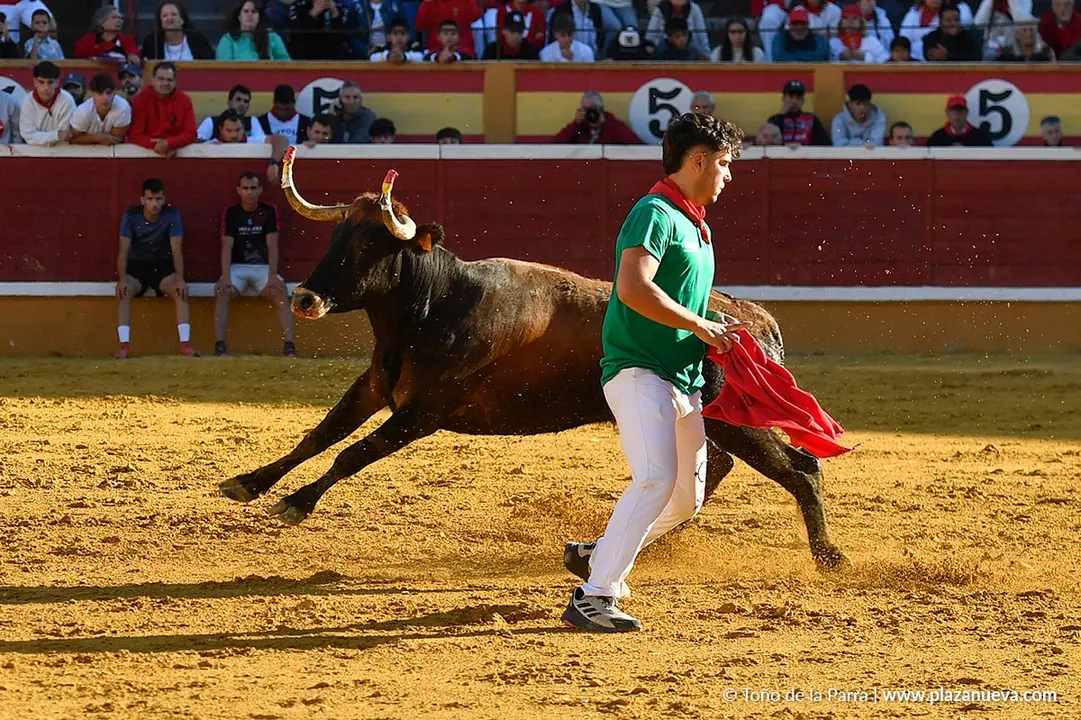 Suelta de vaquillas en Tudela d&iacute;a 29 2025 35