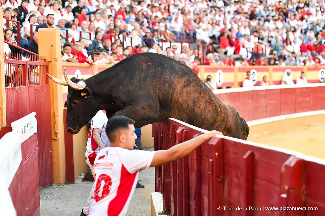 Exhibici&oacute;n de Bravura Arriazu en Tudela 2025 1
