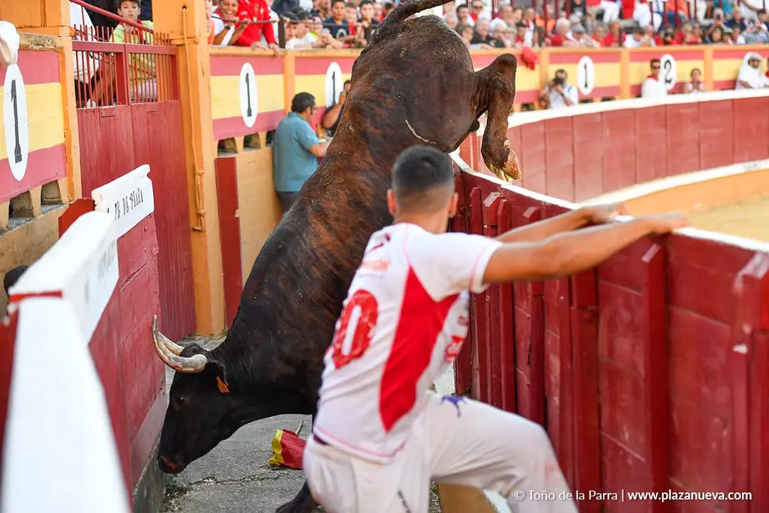 Exhibici&oacute;n de Bravura Arriazu en Tudela 2025 2