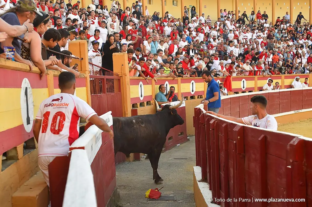 Exhibici&oacute;n de Bravura Arriazu en Tudela 2025 3