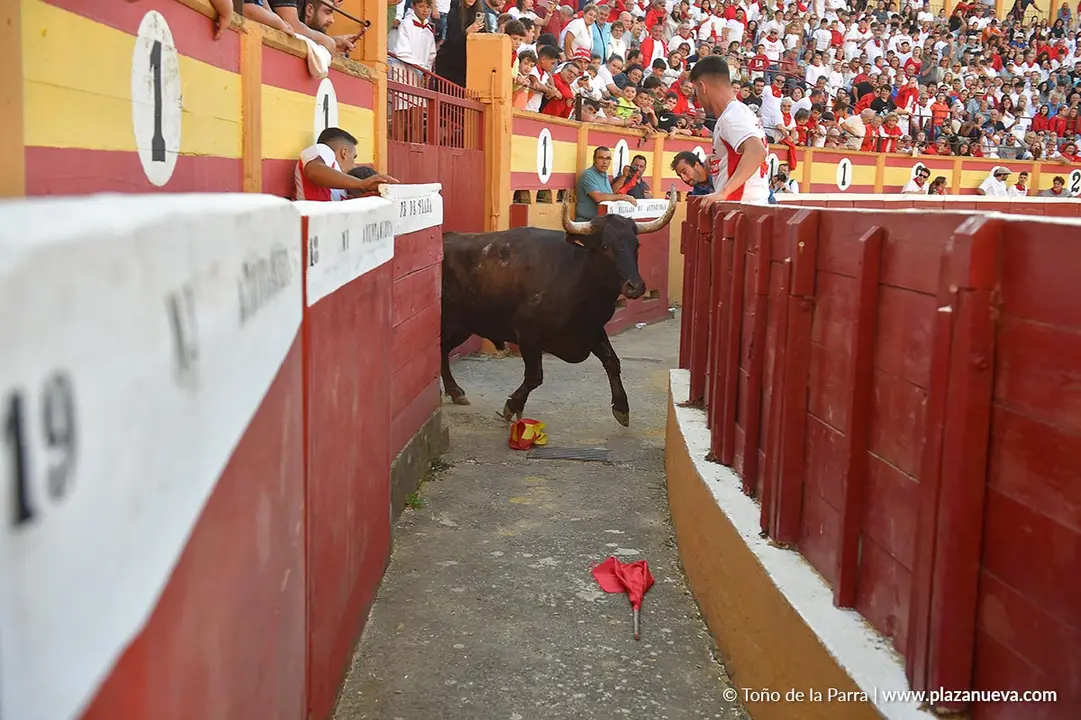 Exhibici&oacute;n de Bravura Arriazu en Tudela 2025 4