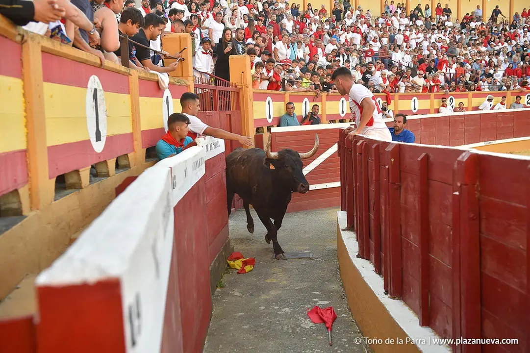 Exhibici&oacute;n de Bravura Arriazu en Tudela 2025 5