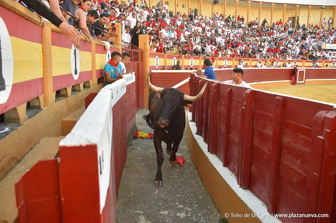 Exhibici&oacute;n de Bravura Arriazu en Tudela 2025 6