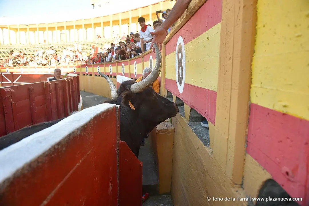 Exhibici&oacute;n de Bravura Arriazu en Tudela 2025 7