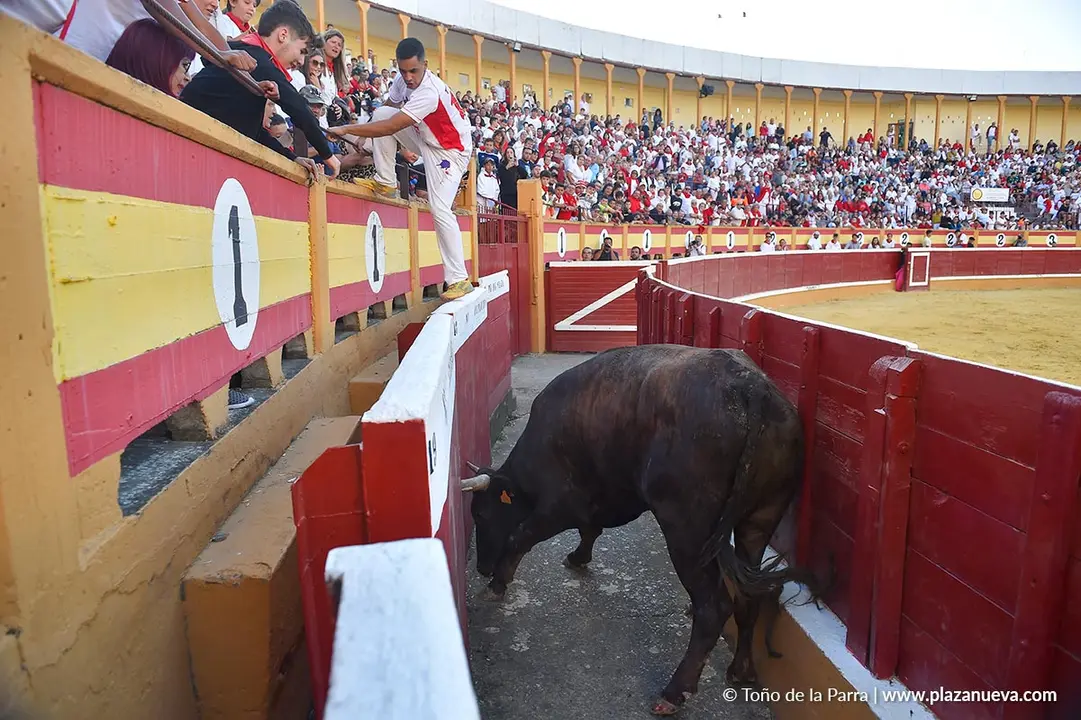 Exhibici&oacute;n de Bravura Arriazu en Tudela 2025 8