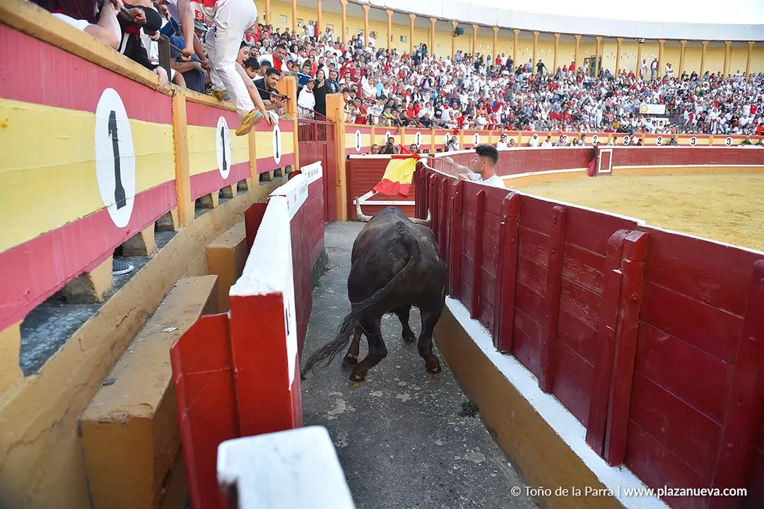 Exhibici&oacute;n de Bravura Arriazu en Tudela 2025 9