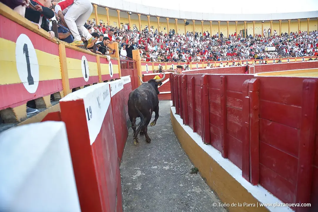 Exhibici&oacute;n de Bravura Arriazu en Tudela 2025 11