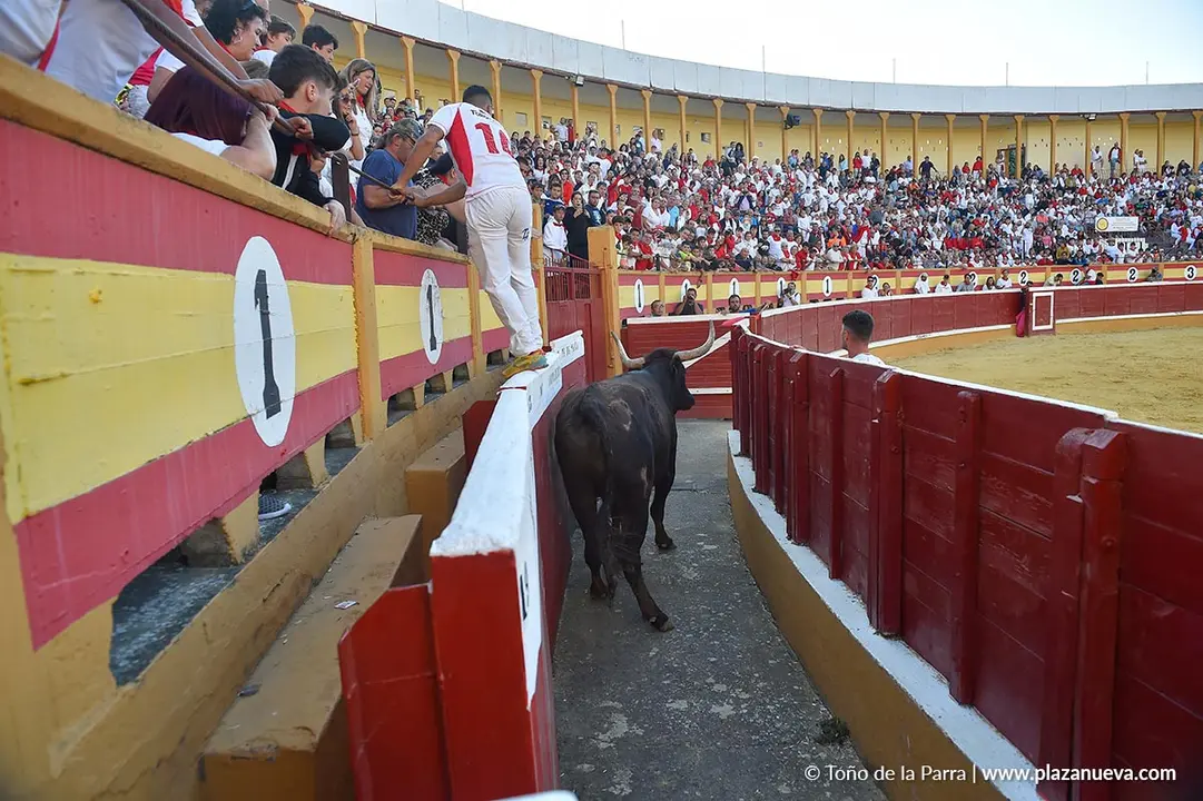 Exhibici&oacute;n de Bravura Arriazu en Tudela 2025 10