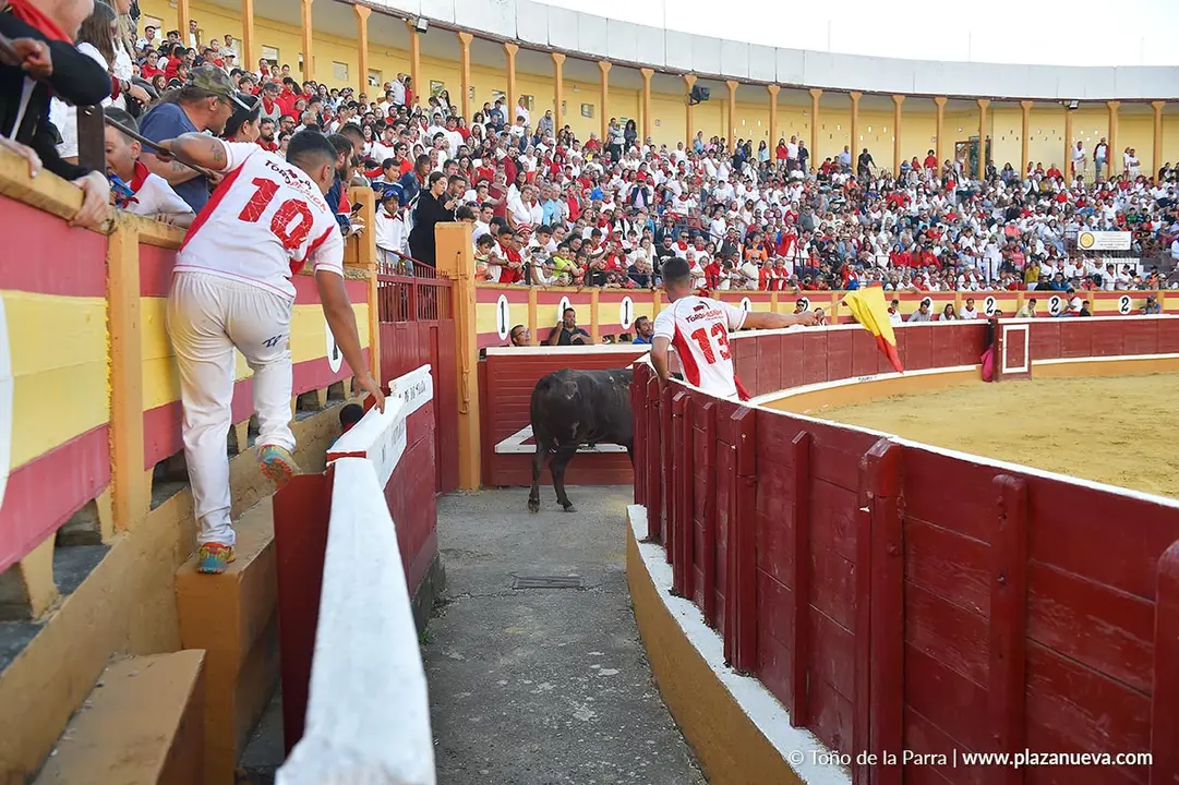Exhibici&oacute;n de Bravura Arriazu en Tudela 2025 12