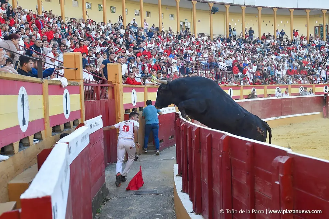 Exhibici&oacute;n de Bravura Arriazu en Tudela 2025 13