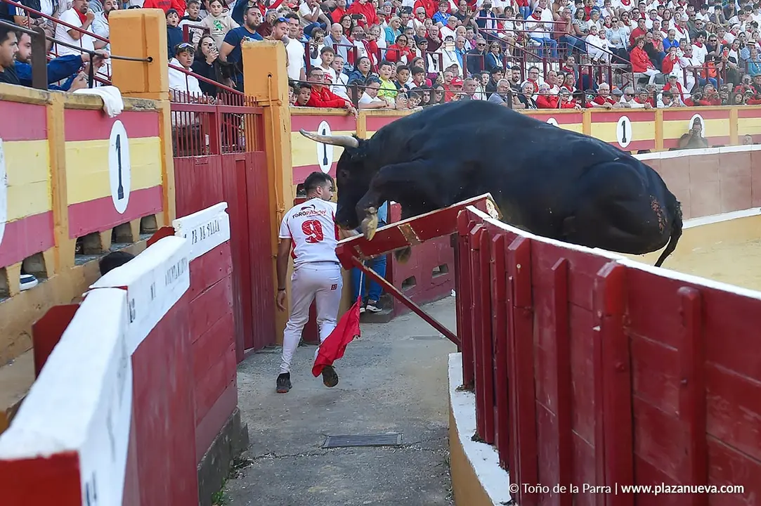 Exhibici&oacute;n de Bravura Arriazu en Tudela 2025 14