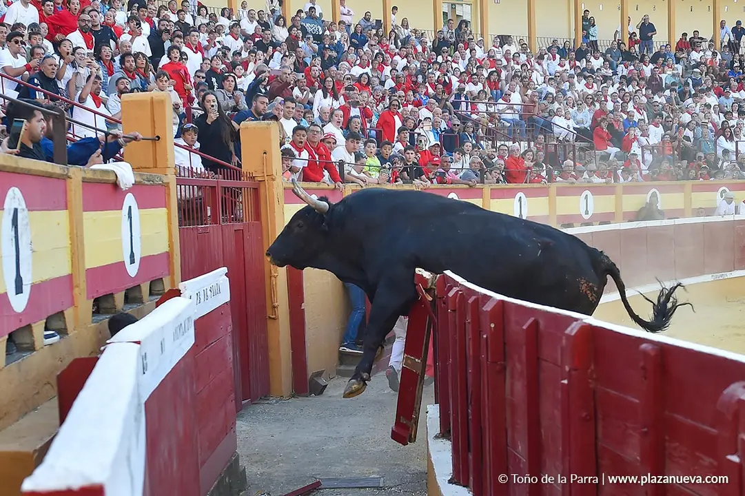 Exhibici&oacute;n de Bravura Arriazu en Tudela 2025 15