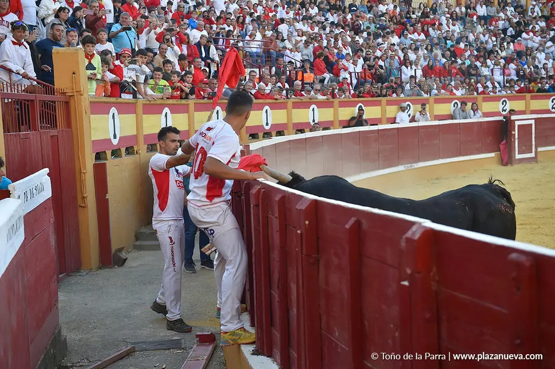 Exhibici&oacute;n de Bravura Arriazu en Tudela 2025 19