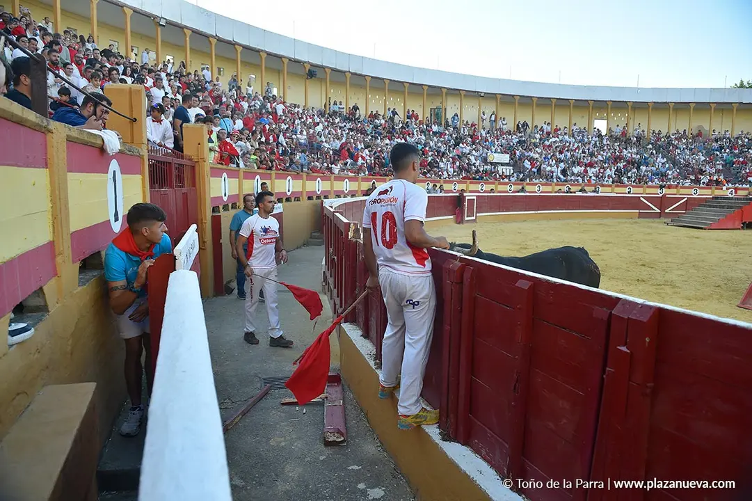 Exhibici&oacute;n de Bravura Arriazu en Tudela 2025 21