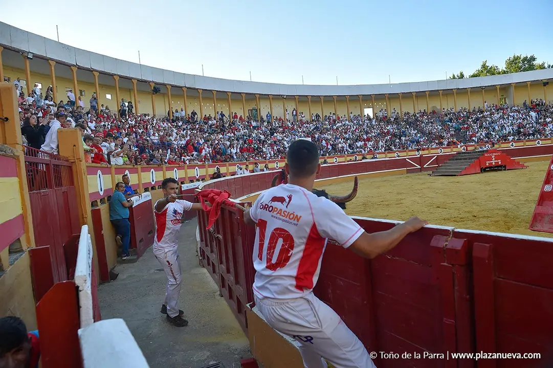 Exhibici&oacute;n de Bravura Arriazu en Tudela 2025 22