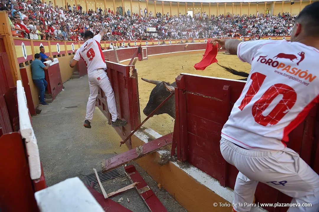 Exhibici&oacute;n de Bravura Arriazu en Tudela 2025 26
