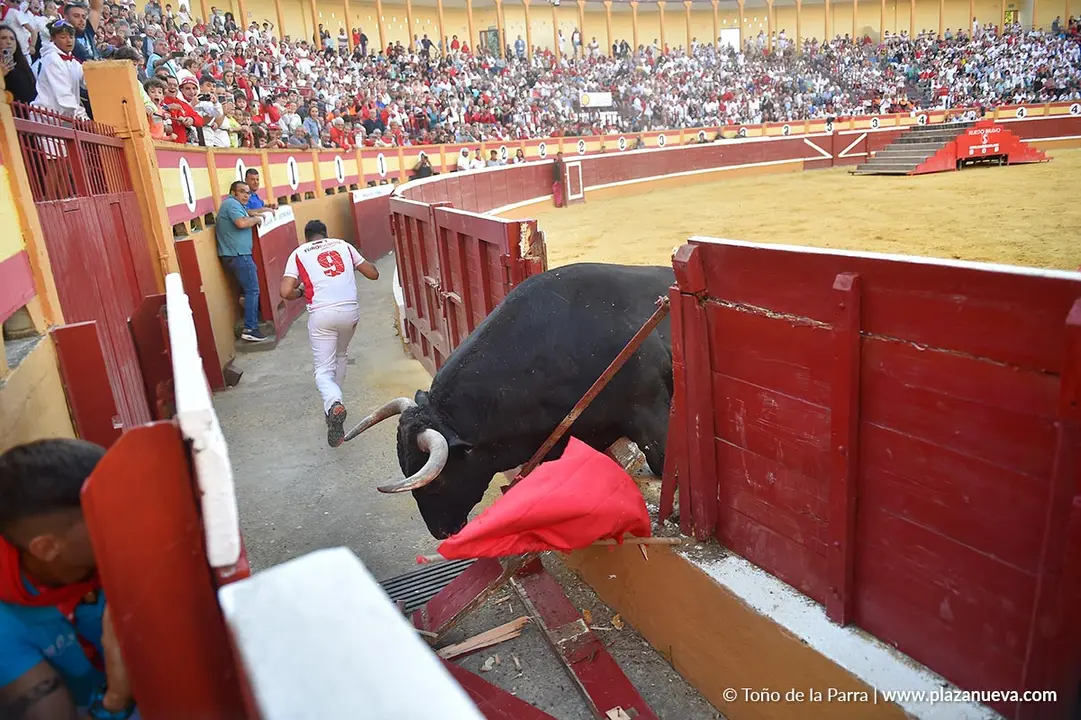 Exhibici&oacute;n de Bravura Arriazu en Tudela 2025 27