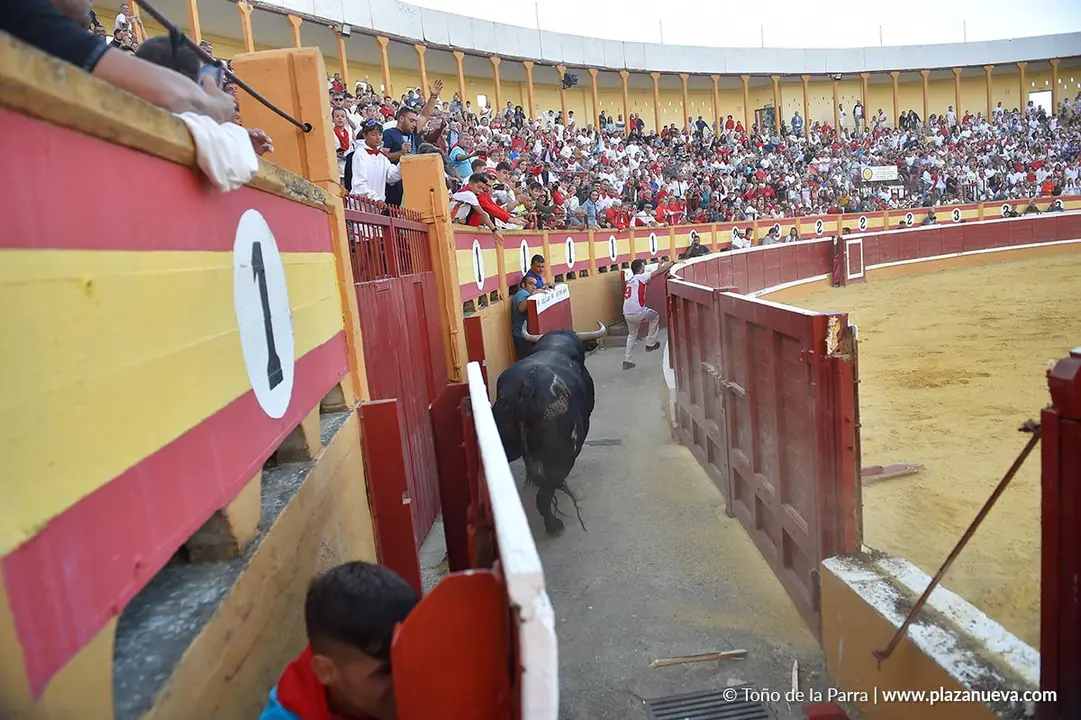 Exhibici&oacute;n de Bravura Arriazu en Tudela 2025 28