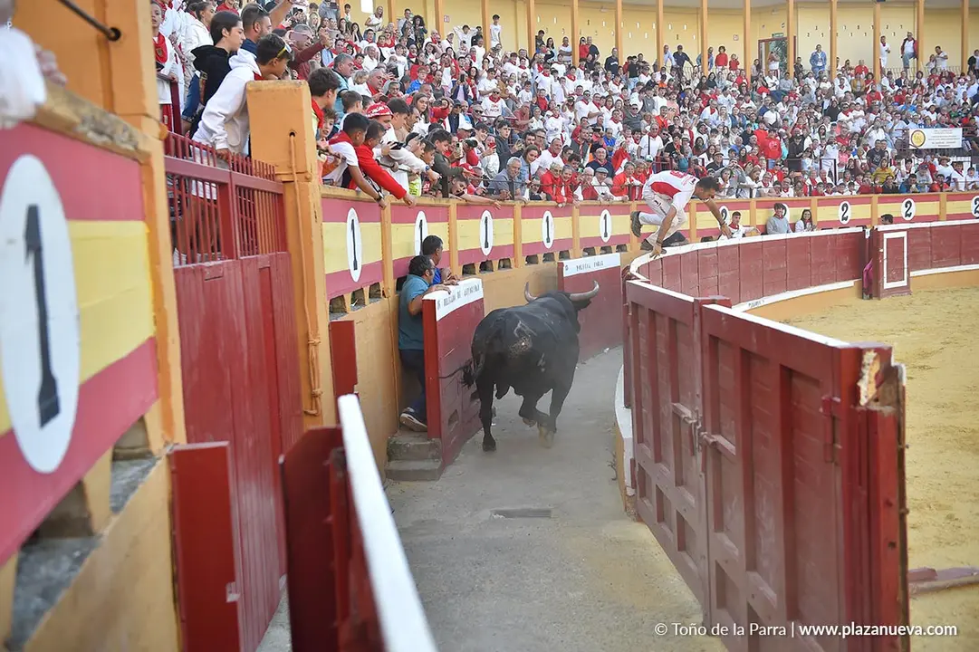Exhibici&oacute;n de Bravura Arriazu en Tudela 2025 29