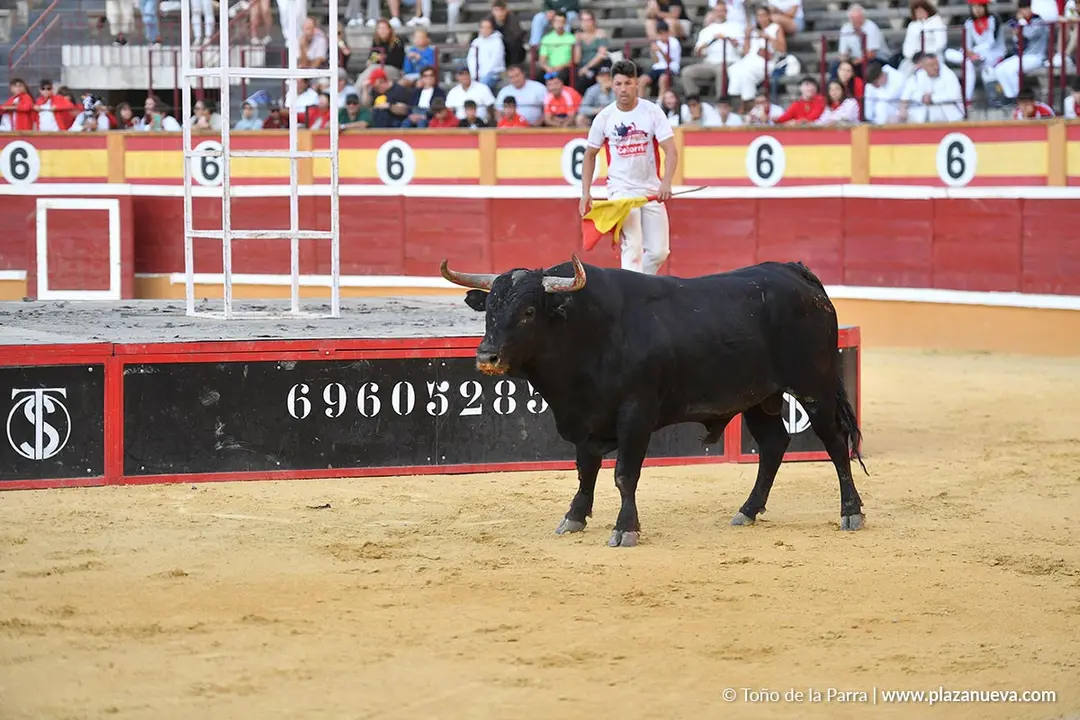 Exhibici&oacute;n de Bravura Arriazu en Tudela 2025 34