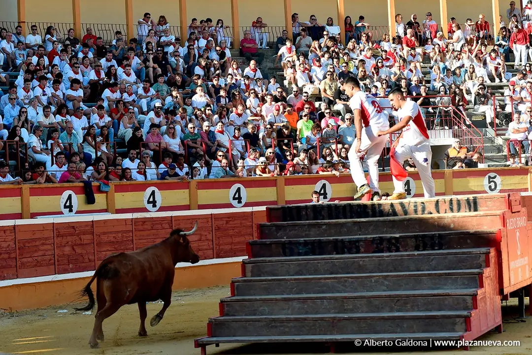 Exhibici&oacute;n de Bravura Arriazu en Tudela 2025 35