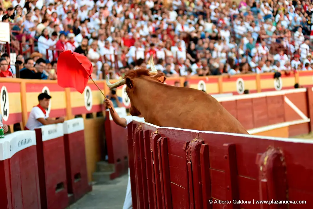 Exhibici&oacute;n de Bravura Arriazu en Tudela 2025 37