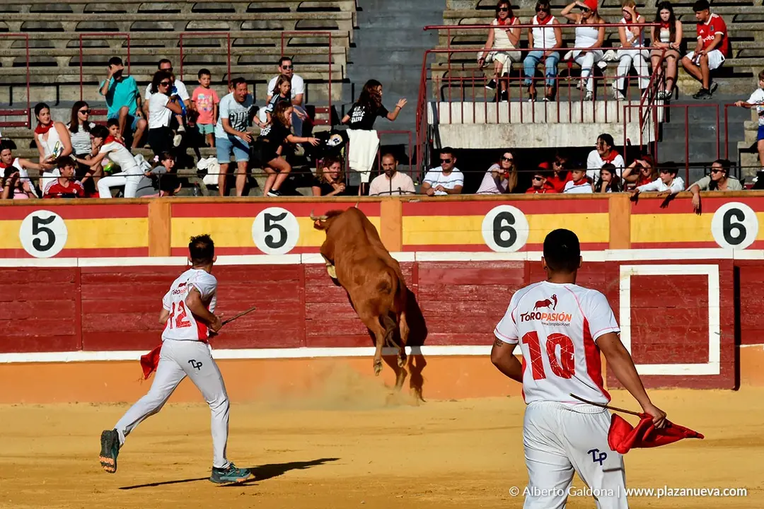 Exhibici&oacute;n de Bravura Arriazu en Tudela 2025 36
