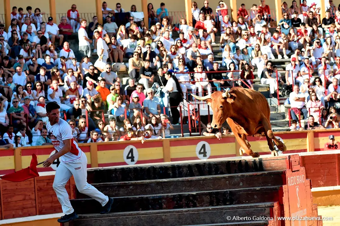 Exhibici&oacute;n de Bravura Arriazu en Tudela 2025 38