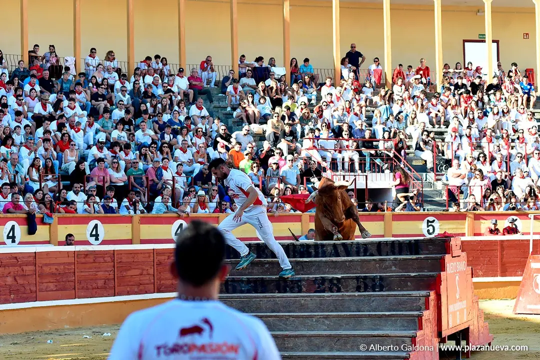 Exhibici&oacute;n de Bravura Arriazu en Tudela 2025 44