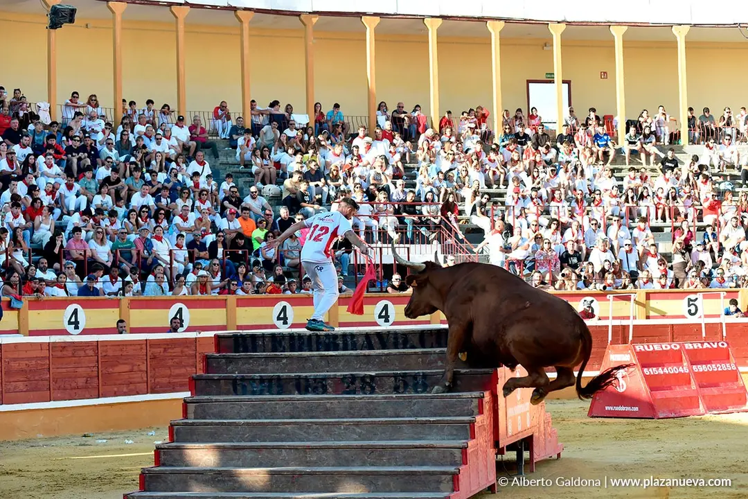 Exhibici&oacute;n de Bravura Arriazu en Tudela 2025 46