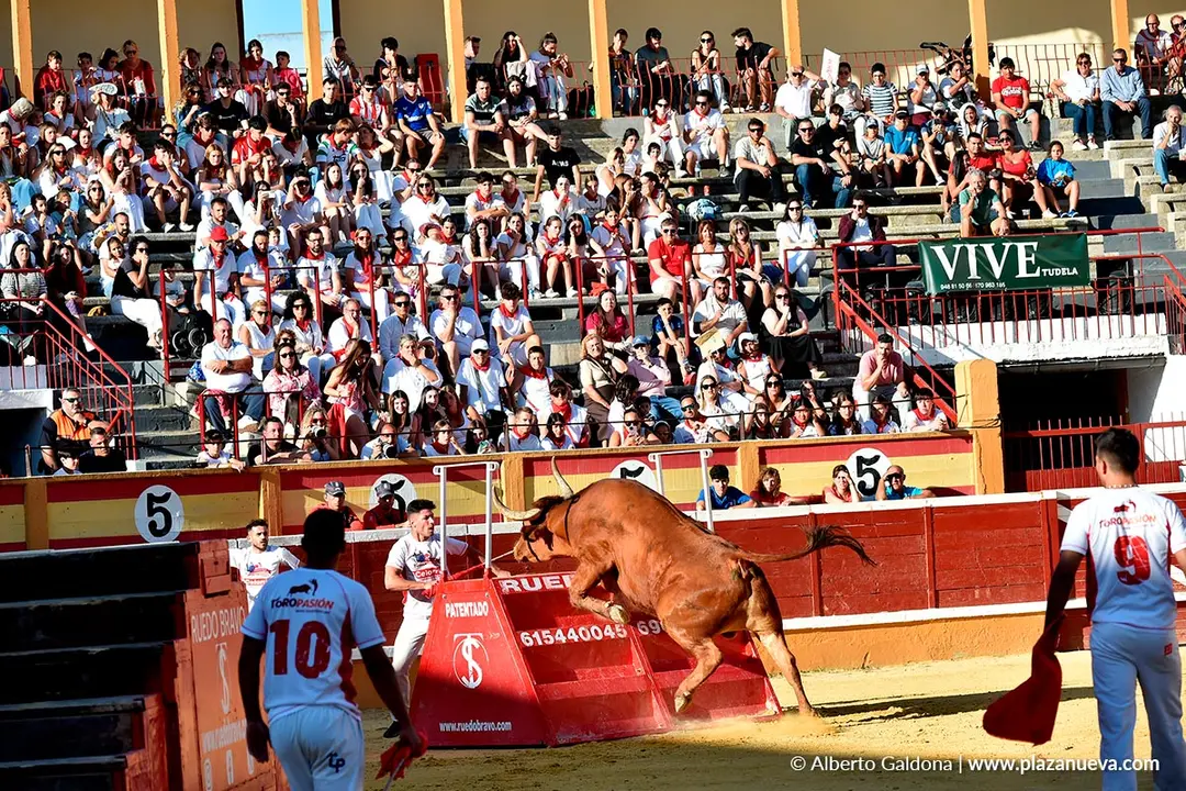 Exhibici&oacute;n de Bravura Arriazu en Tudela 2025 47