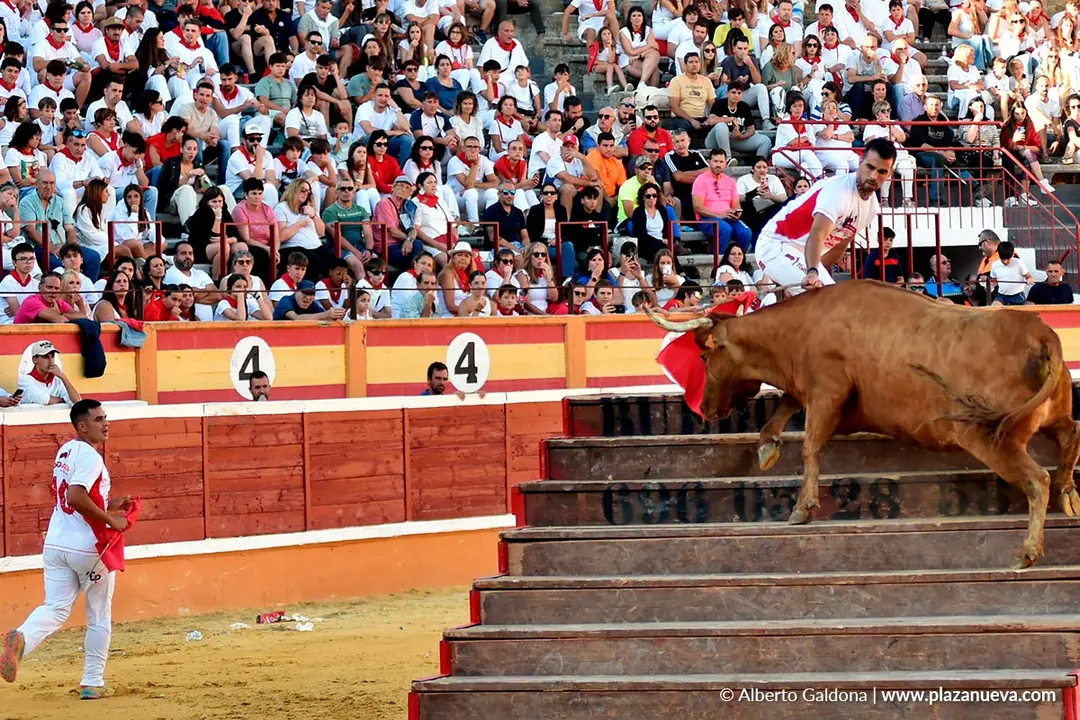 Exhibici&oacute;n de Bravura Arriazu en Tudela 2025 50