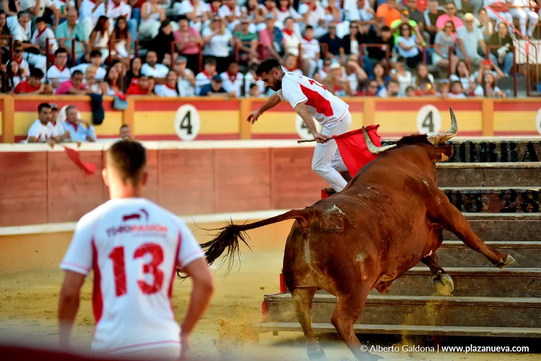 Exhibici&oacute;n de Bravura Arriazu en Tudela 2025 49