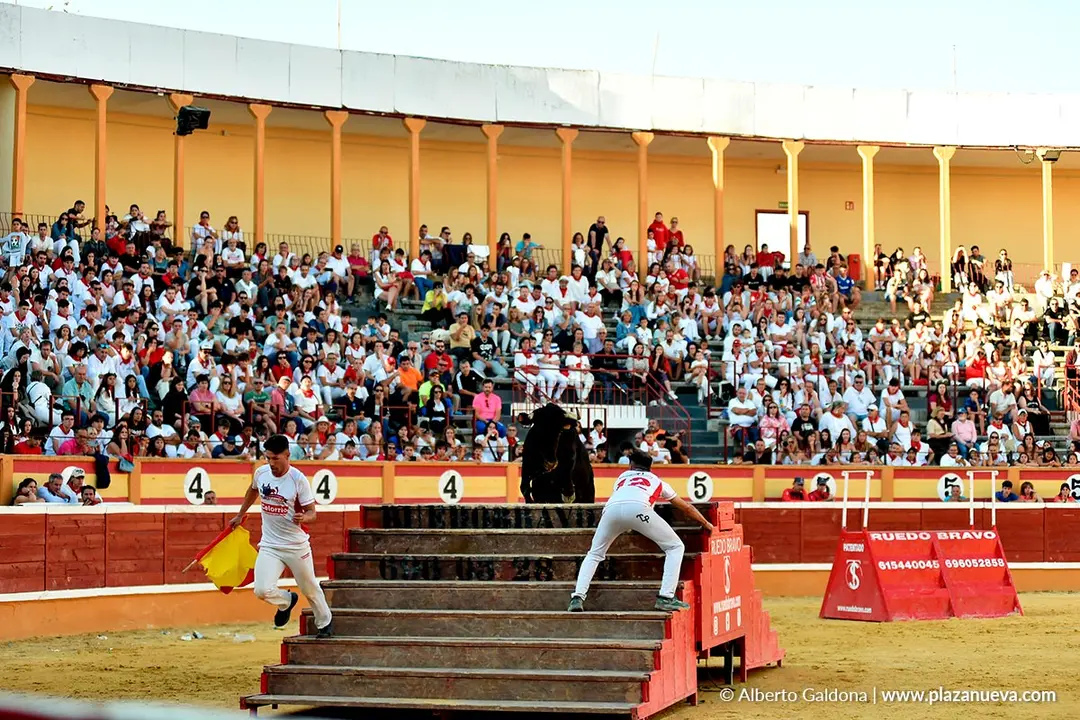 Exhibici&oacute;n de Bravura Arriazu en Tudela 2025 52