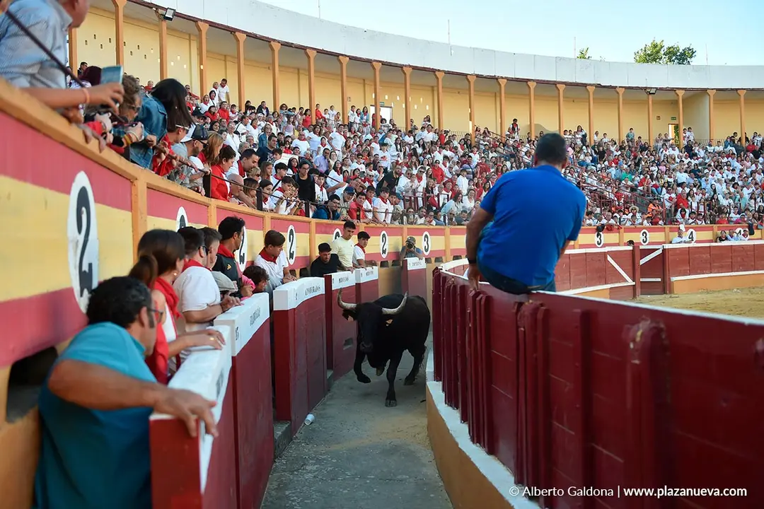 Exhibici&oacute;n de Bravura Arriazu en Tudela 2025 53