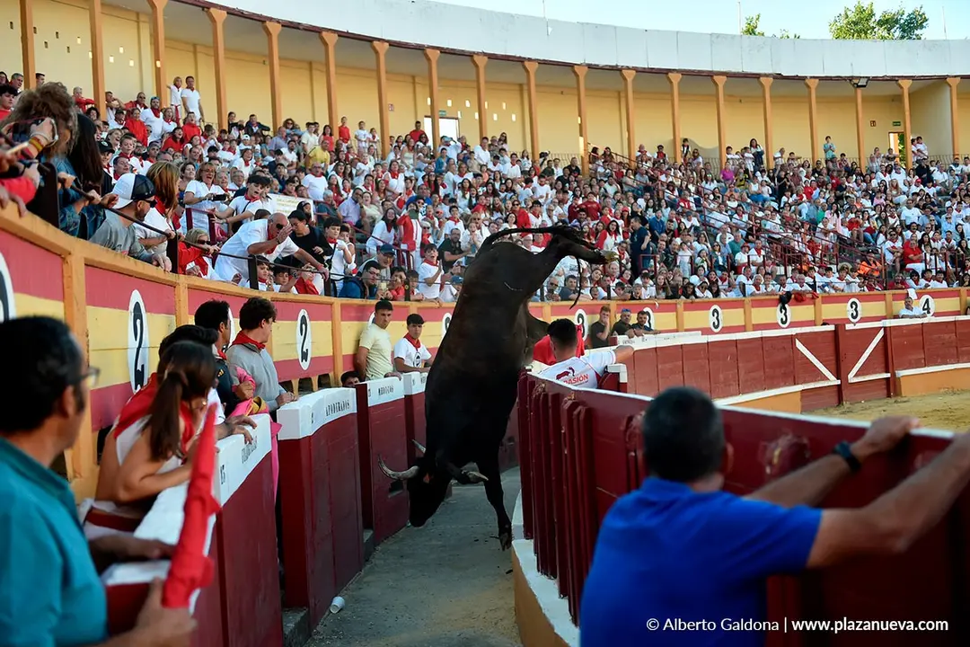 Exhibici&oacute;n de Bravura Arriazu en Tudela 2025 54