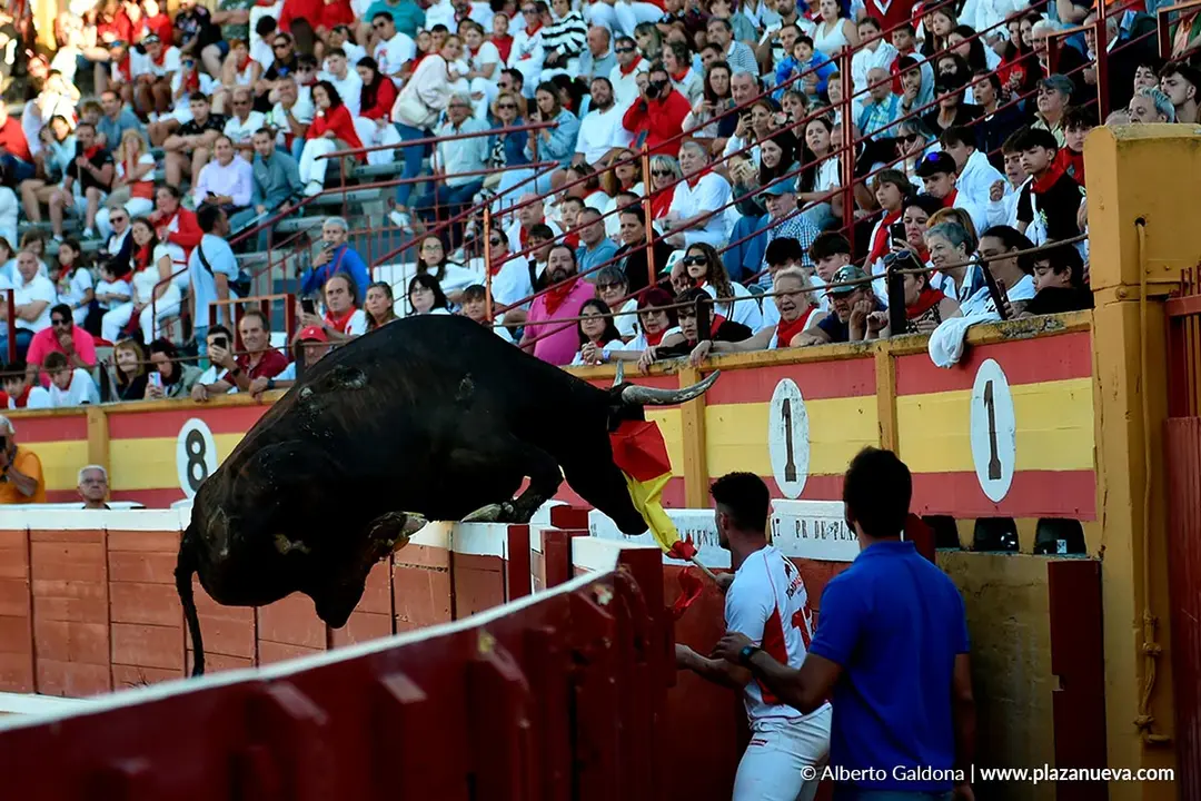 Exhibici&oacute;n de Bravura Arriazu en Tudela 2025 55