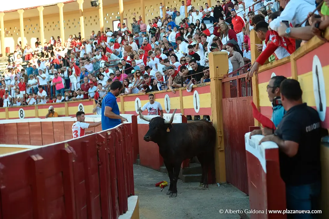 Exhibici&oacute;n de Bravura Arriazu en Tudela 2025 56