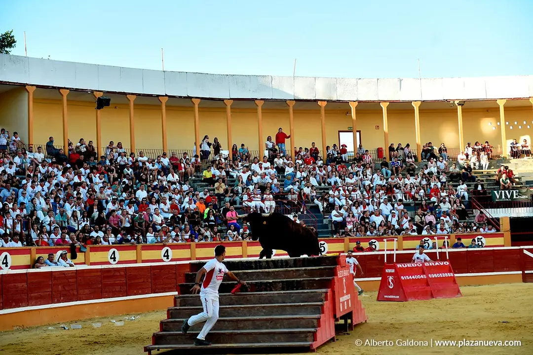 Exhibici&oacute;n de Bravura Arriazu en Tudela 2025 57