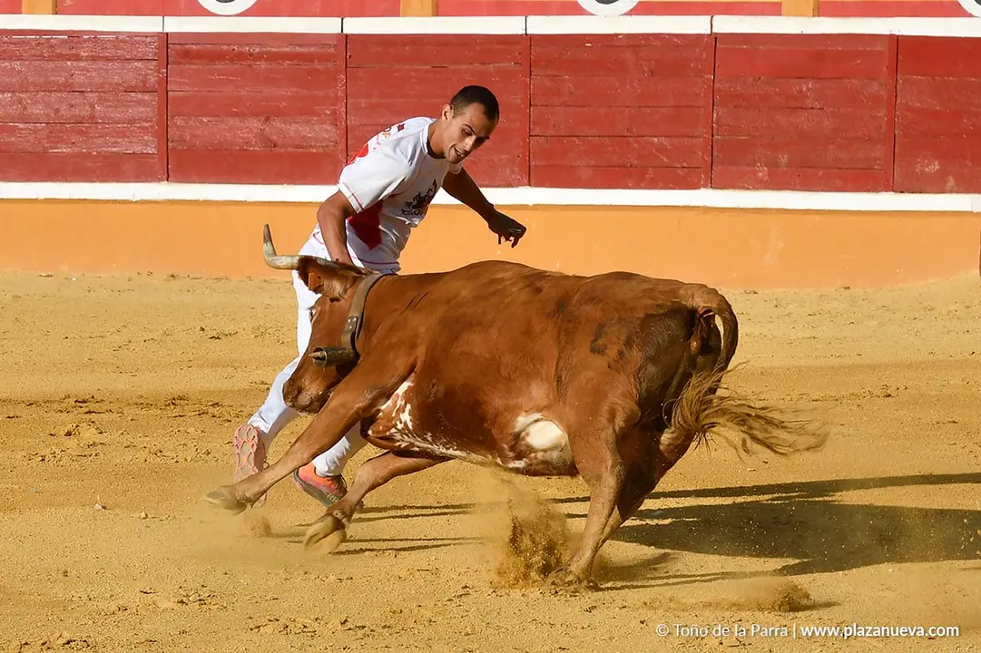 Recortes con anillas en Tudela 2025 10