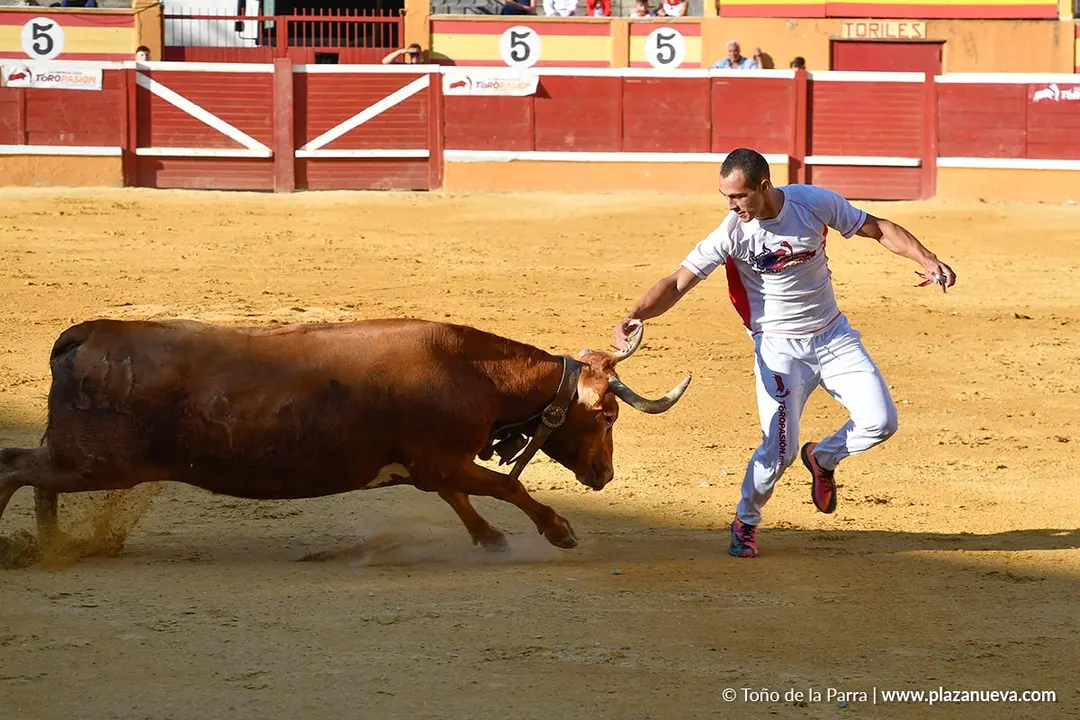 Recortes con anillas en Tudela 2025 12