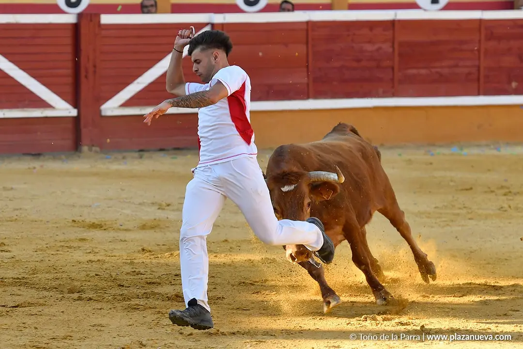 Recortes con anillas en Tudela 2025 13