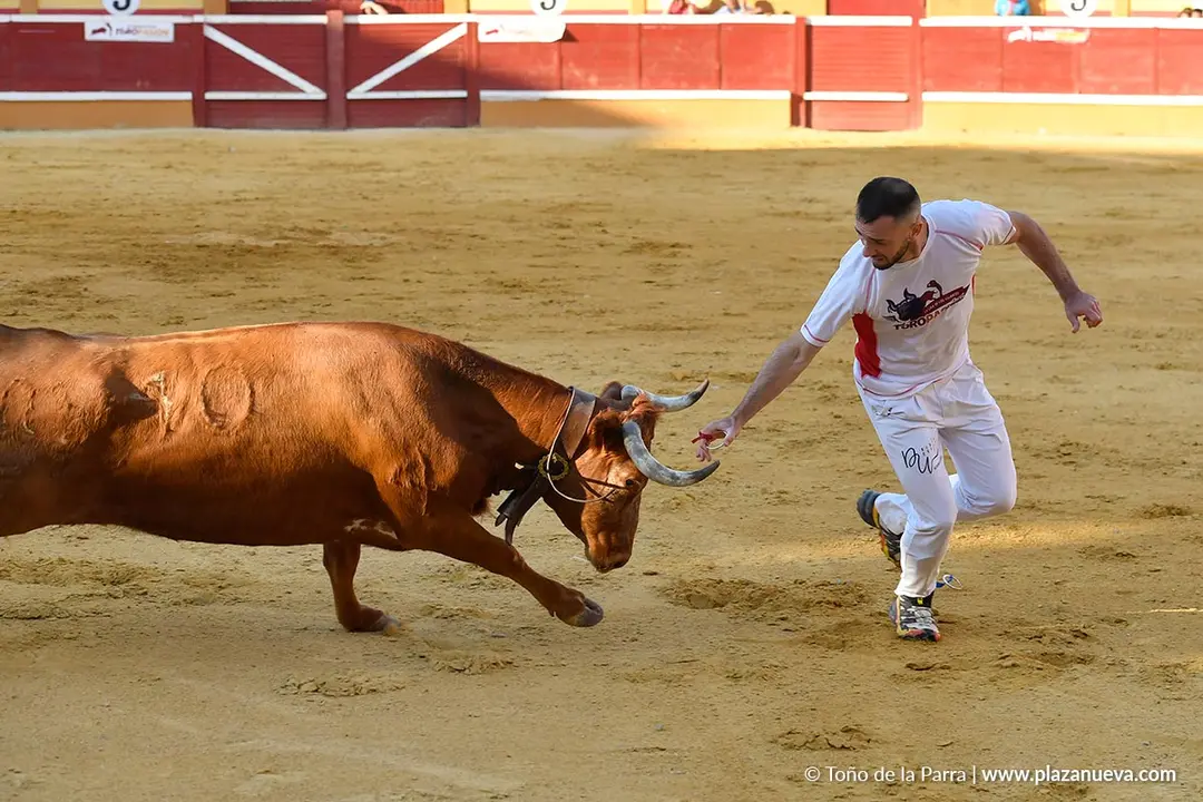 Recortes con anillas en Tudela 2025 25