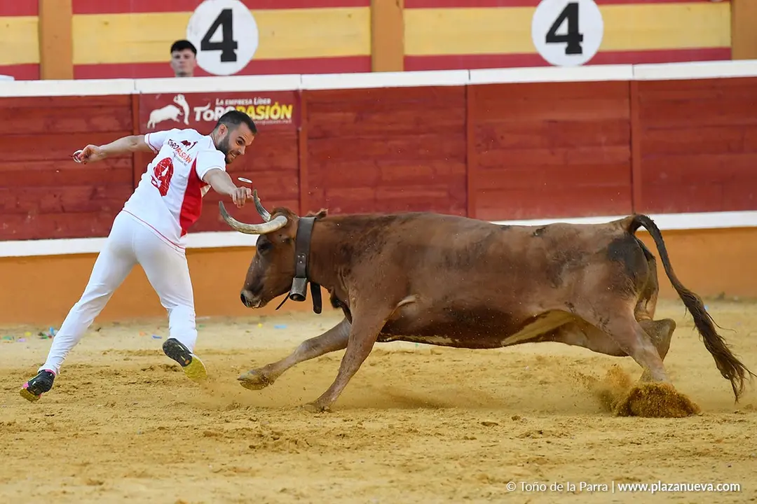 Recortes con anillas en Tudela 2025 27