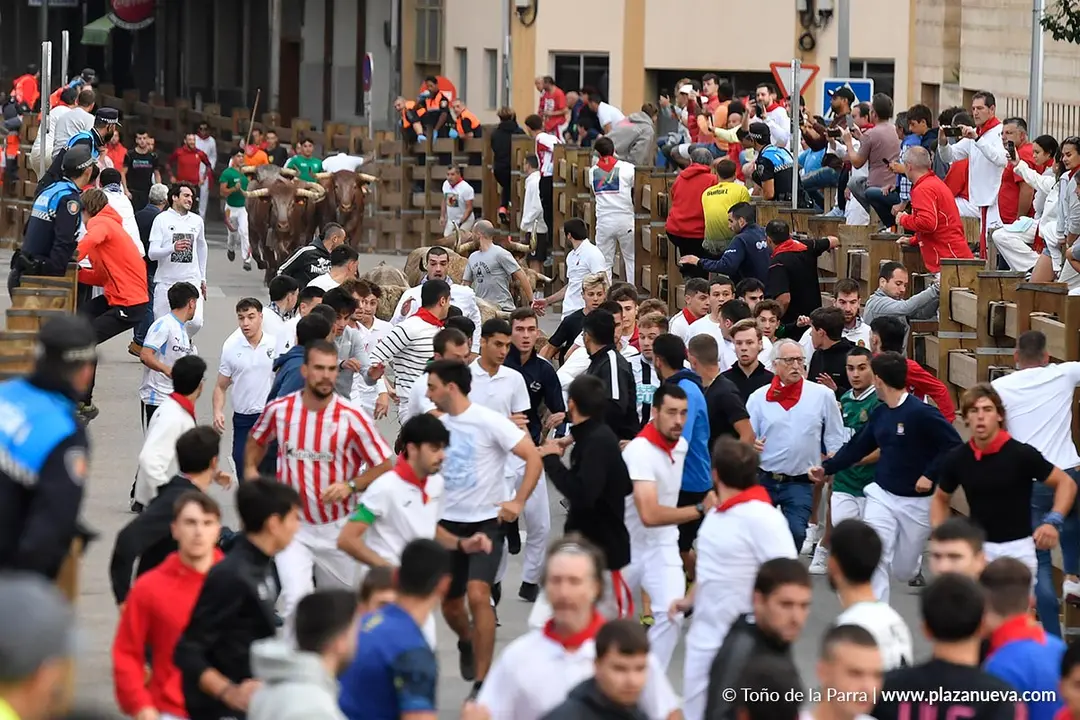 Encierro de Tudela d&iacute;a 30 2025 3