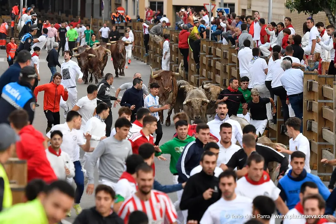 Encierro de Tudela d&iacute;a 30 2025 7