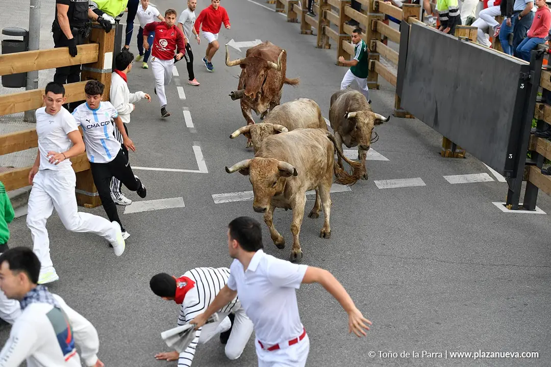 Encierro de Tudela d&iacute;a 30 2025 14